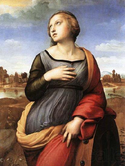 RAFFAELLO Sanzio St Catherine of Alexandria